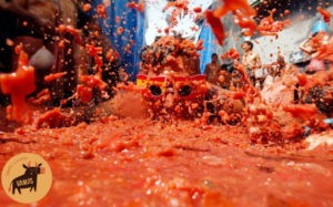 La Tomatina: битва продуктами в Испании. Цена и условия участия.
